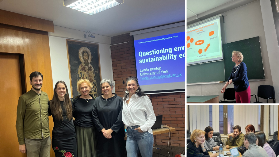 Photo of Lynda's trip to Belgrade, taken with colleagues during various seminars and research presentations